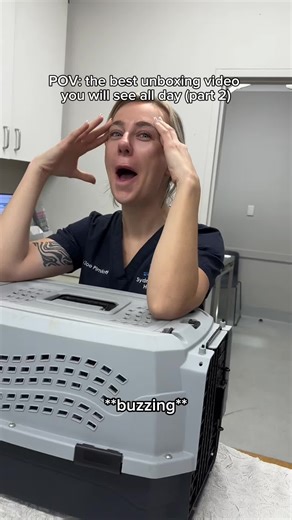 Understanding the Impact of Kitty Care: A Vet's Perspective