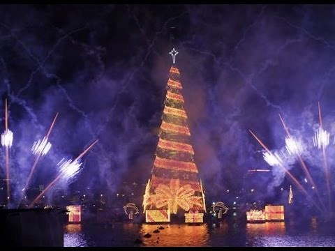 Brazil Illuminates World's Largest Floating Christmas Tree