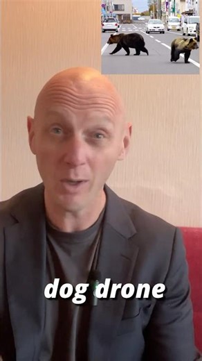 Japan Fights Bears With Robot Dogs