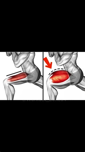 Want stronger legs Try these 6 quad-building exercises! 🏋️‍♂️💪 #legdayworkout #quads #gymtok #fitnessmotivation #lowerbodyworkout