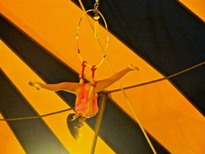 A Circus 'Steeped In Tradition'