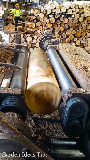 Giant Log Work Inside a High‑Tech Woodshop #woodscraft #wood #viral #woodworking