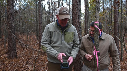 Want to see how auctions really work? Watch this video to learn how Ranch & Farm Auctions at Whitetail Properties maximizes value with personalized strategies and seamless bidding. Reach out today if you’re interested in discussing an auction for your property! | Thomas Crutcher, Whitetail Properties - TN | Facebook