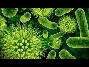Virus Evolution Amazing Documentary Full HD National Geographic Documentary 2015