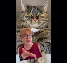 Cat People Vs. Dog People