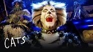 The Battle of Pekes and the Pollicles Part 1 Cats the Musical