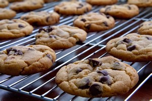 4.3 Instructions – Introduction to Technical and Professional Communication