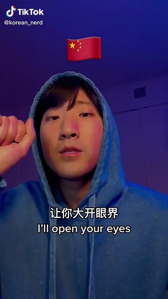 Aladdin - A Whole New World in 5 different languages #disney #language...