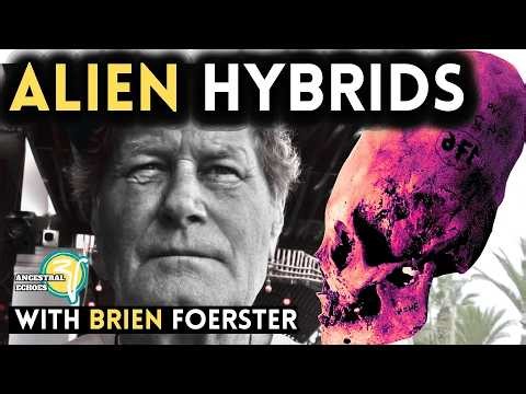 The Brien Foerster Interview With The Evidence