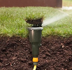 3.6M views · 10K reactions | Top tips for lawn cleaning and maintenance | 5-Minute Crafts Men | Facebook