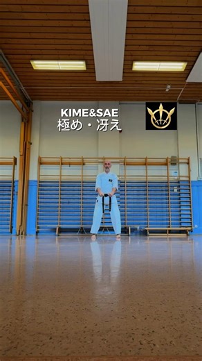 KIME & SAE | Karate Principles