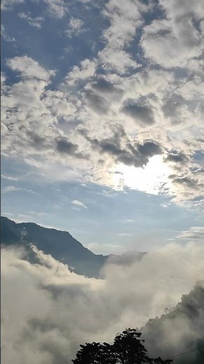 @thefind-1|🔍 #nature #shorts #ytshorts