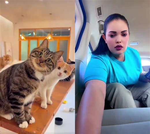 ‏#duet with @Queen Eman 👑