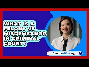 What Is A Felony Vs Misdemeanor In Criminal Court? - CountyOffice.org