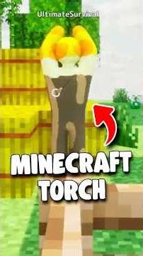 This MINECRAFT TORCH WAS INSANE!