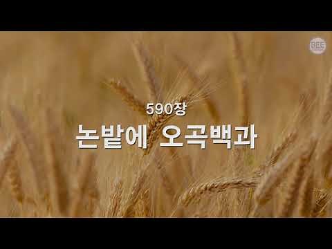 [새찬송가] 590장 논밭에 오곡백과