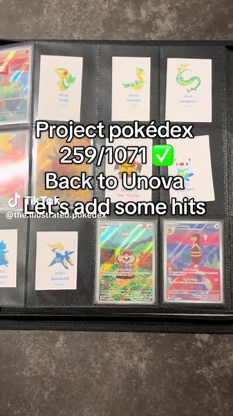 Unova Pokémon Highlights: Munna, Audino, Conkeldurr & More