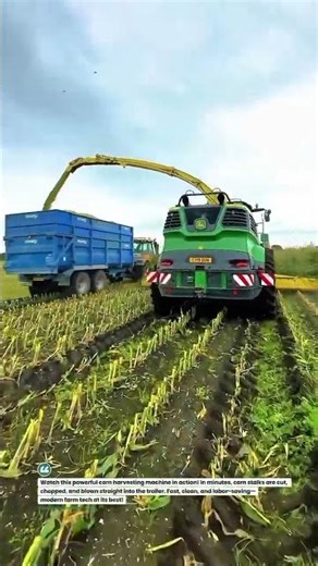 Insane Corn Harvesting Machine in Action! 🌽🚜 #FarmingTech #TractorLife #AgriShorts