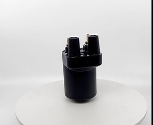 Amazon.com: Dosens 166-0772 Ignition Coil Compatible for Onan Points Models BF B43 B48 NHC CCK Onan P218G P220G P224G Replaces 166-0820 HE541-0522 166-0804 166-0648 He166-0761 : Automotive