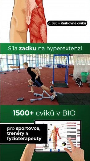 Cvik na zadek - Extenze kyčle #cviky