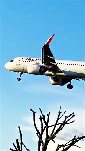 You Won’t Believe How Low This Airbus A320 Flies Over Trees 😱✈️