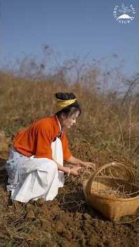 Harvest Joy! | Love It or Hate It? Fresh Houttuynia Cordata