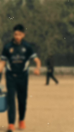 Exciting Cricket Highlights for True Fans