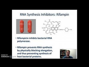 Rifampin Mechanism of Action