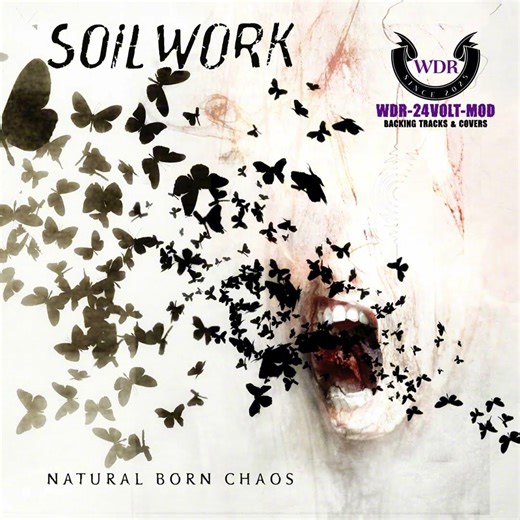 Soilwork - Mindfield (Backing Track) No Guitar *CLIP* Full Video Attached