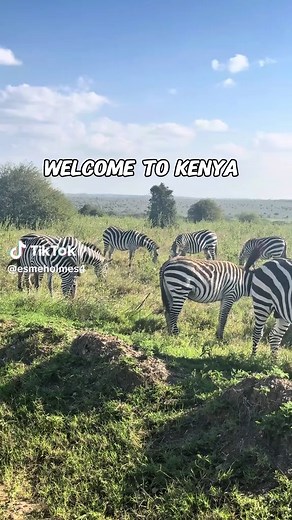 KENYA 🇰🇪 1 week - safari in Amboseli & Nairobi #kenya #kenyasafari #travel #africa #fyp