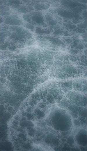 Giant Ocean Battle Animation | Fish Eat Fish Epic Underwater Fight