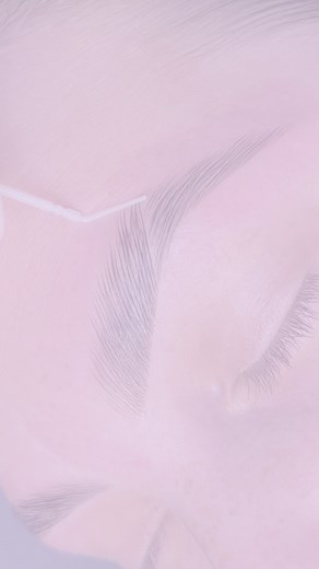 SYDNEY BROW & LASH LIFT TECH + EDUCATOR 🎓 on Instagram: "You need @browbibleacademy combs in your life 🤌🏽 Key products 🛍️🛒: @browbibleacademy white fine brow combs @browbibleacademy my brow story concealer palette @thuya_australia vegan lamination solutions @thuya_australia vegan tint (coffee) - 📚Want to learn how to create brows like this?📖⁣ ⁣ We offer:⁣ ⁣ 💻 Mapping Online Masterclass (Worldwide Access)⁣ ⁣ Face to Face ⬇️⁣ ⁣ 🎓 All Inclusive Beginner Brow Course⁣ ⁣ 🎓 Brow Dye + Tint Co
