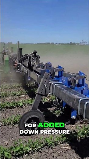Throwing In with the Swinging Spider w/ Down Pressure #cultivators #farmequipment #weedcontrol