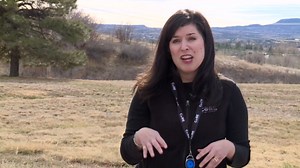 How CORE Electric avoided power shutoffs in Colorado