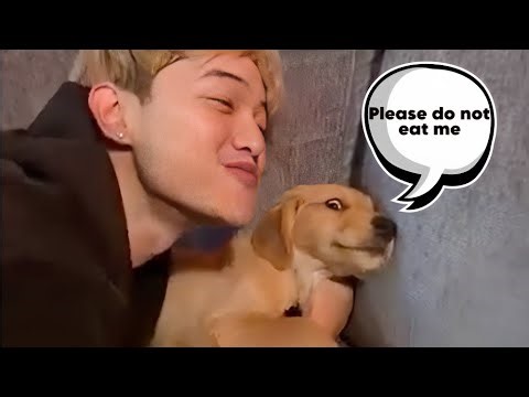 Faze Clan's New Dog Funniest Moments !