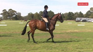 47K views · 1.2K reactions | “He’s absolutely blown my mind.” Bart Cummings’ last ever Melbourne Cup runner Precedence is thriving in his new career as a show horse with Fiona McIntyre. Off The Track | Racing.com | Facebook