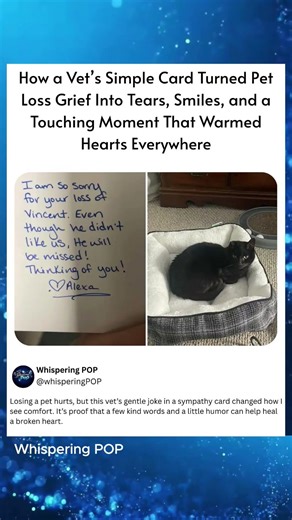 How a Vet's Simple Card Turned Pet Loss Grief Into Tears. Smiles. and a Touching Moment That Warmed