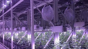 1.3K views | AutoPot Watering Systems on Reels | Facebook