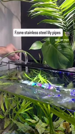 Fzone Studio's on Instagram: "Amazing aquarium setup by@oh_my_puff ! 🤩 Thank you so much for your incredible support and for consistently using our products in your tank. It’s awesome to see them working so well together — from the lush plant growth to the reliable water level maintenance with the ATO system. We‘re honored to be a part of your aquascaping journey! 🙌 #Aquascape #PlantedTank #Aquarium #fzoneaqua #autotopoff"