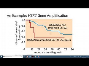 Kaplan Meier Survival Analysis