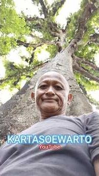 POHON RAKSASA Di Makam KEPUH TUNGGAL | Desa Kedondong, Sokaraja, Banyumas 2026