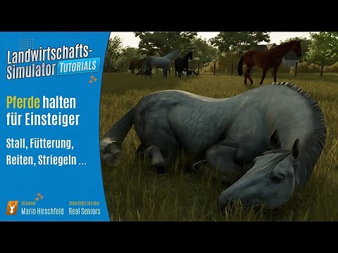 LS22 Tutorials: Pferde halten // Grundlagen für Einsteiger