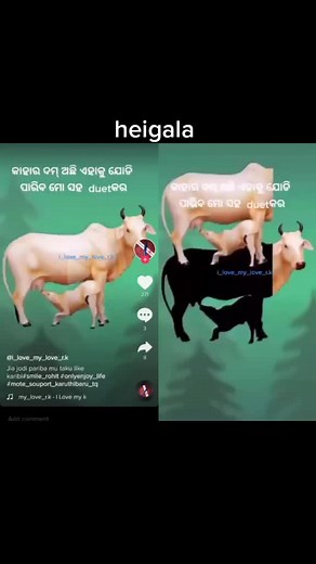 #duet with @i_love_my_love_r.k #memoriesbringback #team1226support killer_group_999