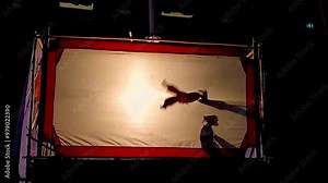 Intangible Cultural Heritage Shadow Play Performance