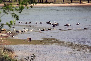Gwinnett Fire to Lead Multi-Agency River Rescue Training
