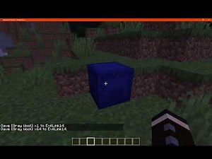 Shulker Stacker 20w22a (1.16) Fabric Mod Overview