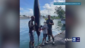 Local fisherman catches thousand-pound marlin | Haystack News