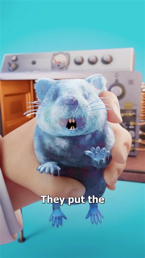 @kh4nfilms on Instagram: "Microwaving hamster for science"