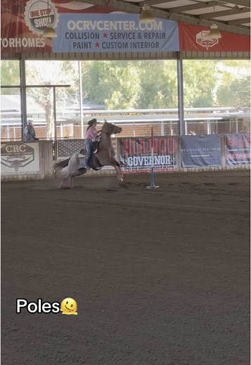 My fault for running the 4 yo in poles when he's only done them a few times🥴 #robbiephillipssaddlery #cowhorse #barrelracer #polebending #rodeo #fail