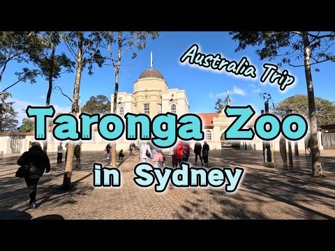 Exploring Sydney’s Taronga Zoo | From Australian wildlife to Stunning Harbor Views | Australia Trip